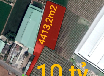 Bán lô đất thổ lúa mặt tiền tỉnh lộ 833 giá 10 tỷ