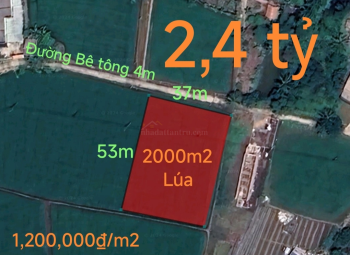 Bán lô đất lúa chuyển thổ làm nhà vườn xã Bình Tịnh giá 2,4 tỷ