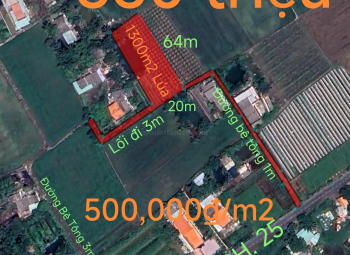 Bán lô lúa không dính quy hoạch hạ giá còn 650 triệu