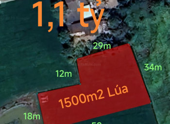 Bán gấp lô đất lúa vị trí trung tâm giá 1,1 tỷ