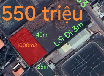 Bán gấp lô lúa xã Nhựt Ninh giá 550 triệu