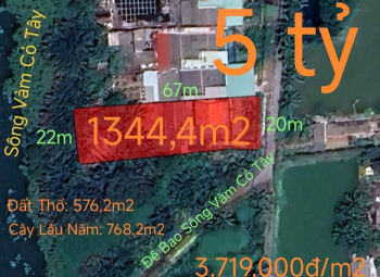 Bán lô đất thổ vườn mặt tiền đê bao hạ giá 5 tỷ