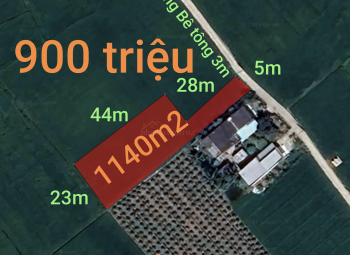 Bán lô đất thổ lúa giá rẻ gần quốc lộ 50B giá 900 triệu