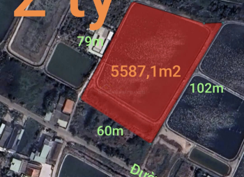 Bán lô đất lúa chuyển thổ giá 2 tỷ
