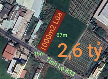 Bán  lô đất  lúa chuyển thổ mặt tiền tỉnh lộ 833 giá 2,6 tỷ  