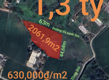 Bán lô đất cây trồng hàng năm giá 1,3 tỷ  