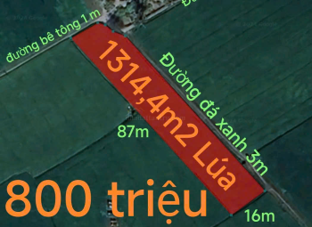 Bán gấp lô đất lúa hai mặt tiền xã Đức Tân giá 800 triệu 