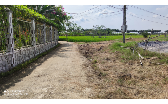 Bán lô đất lúa gần trục Quốc Lộ 50B giá 900 triệu/công( 8,2 tỷ)