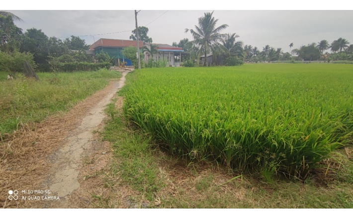 Bán gấp lô đất thổ lúa gần Quốc Lộ 50B hạ giá 7,5 tỷ