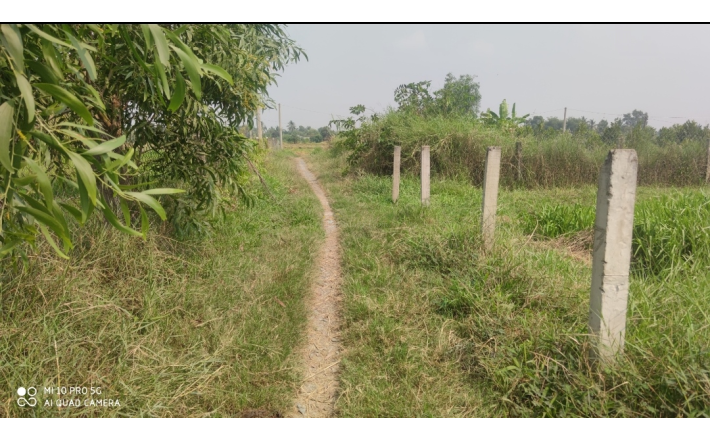 Bán lô đất lúa không dính quy hoạch giá 14,4 tỷ
