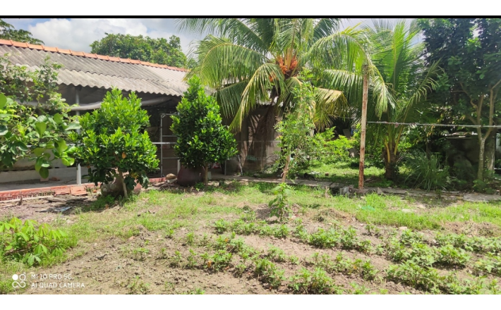 Bán lô đất thổ vườn có nhà giá 6,8 tỷ