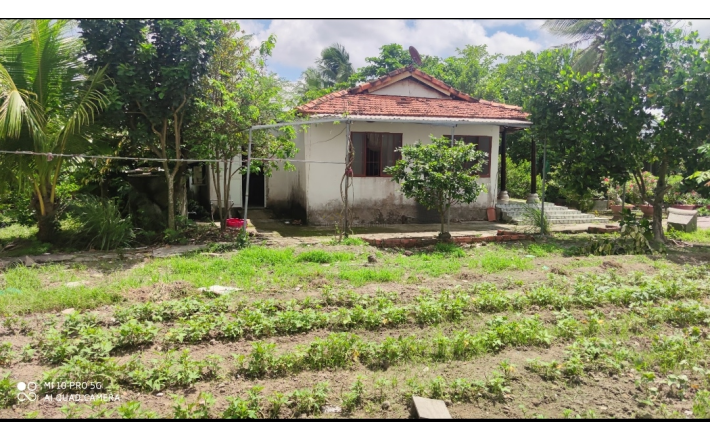 Bán lô đất thổ vườn có nhà giá 6,8 tỷ