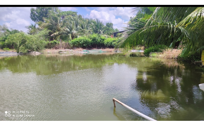 Bán lô đất thổ vườn có nhà giá 6,8 tỷ
