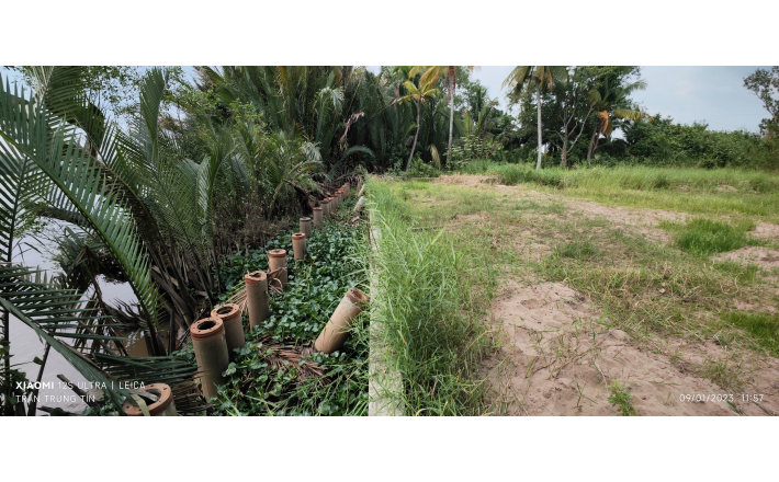 Bán lô đất thổ xây biệt thự vẹn sông vàm cỏ giá 6,2 tỷ