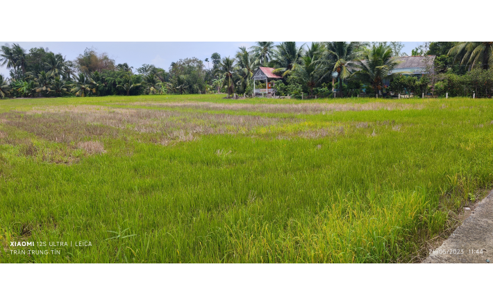 Bán lô đất lúa chuyển thổ giá 1 tỷ.công