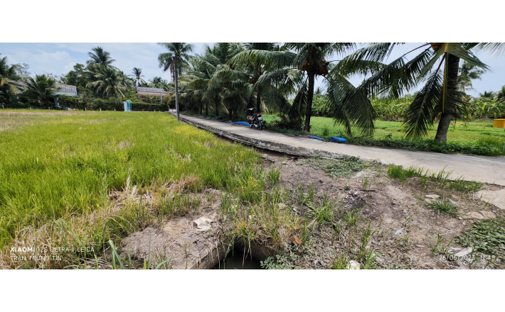 Bán lô đất lúa chuyển thổ giá 1 tỷ.công