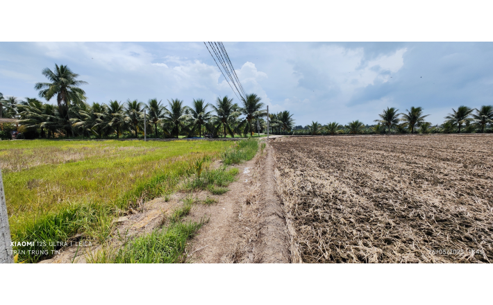 Bán lô đất lúa chuyển thổ giá 1 tỷ.công