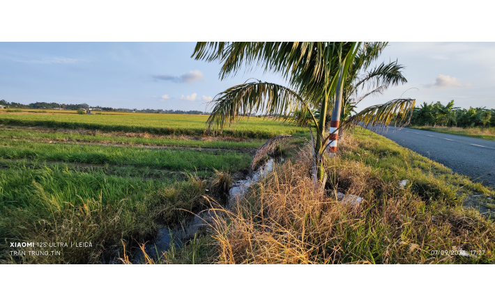 Bán lô đất thổ mặt tiền Đường Nguyễn Hoàng Anh giá 2 tỷ