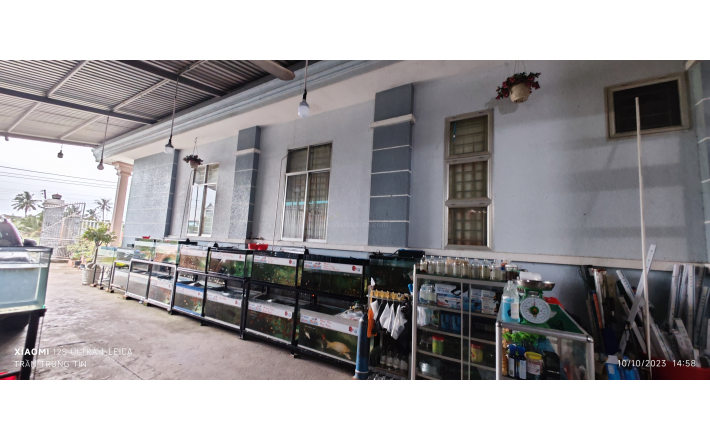 Bán nhà biệt thự phố vị trí chiến lược vị trí trung tâm huyện giá 4,2 Tỷ