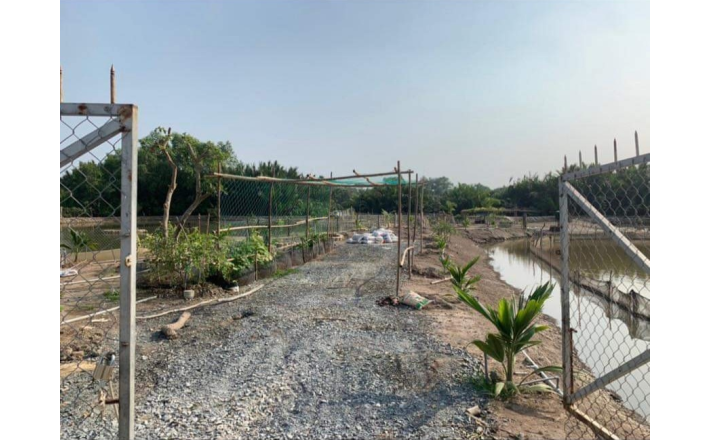 Bán lô đất thổ phân lô mặt tiền đê bao giá 7,5 tỷ