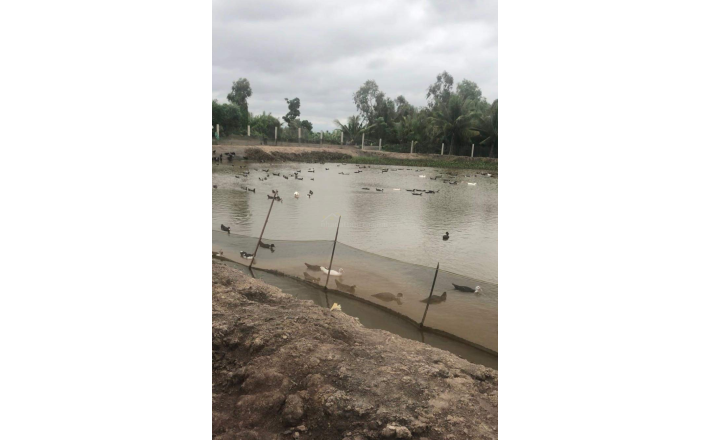 Bán lô đất thổ phân lô mặt tiền đê bao giá 7,5 tỷ