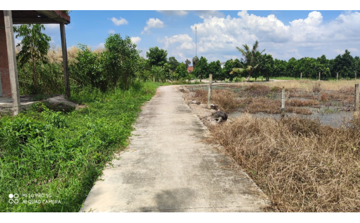 Bán lô đất thổ Bình Tịnh xây biệt thự vườn giá 1,2 tỷ