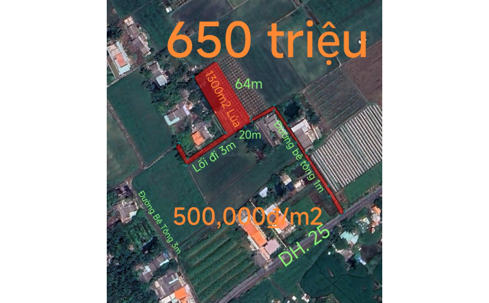 Bán lô lúa không dính quy hoạch hạ giá còn 650 triệu