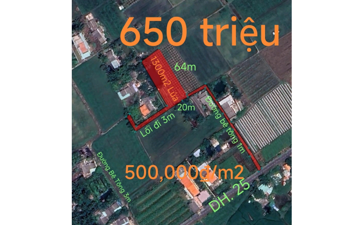 Bán lô lúa không dính quy hoạch hạ giá còn 650 triệu