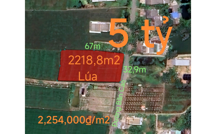 Bán lô đất lúa làm kho xưởng gần Quốc Lộ 50B giá 5 tỷ