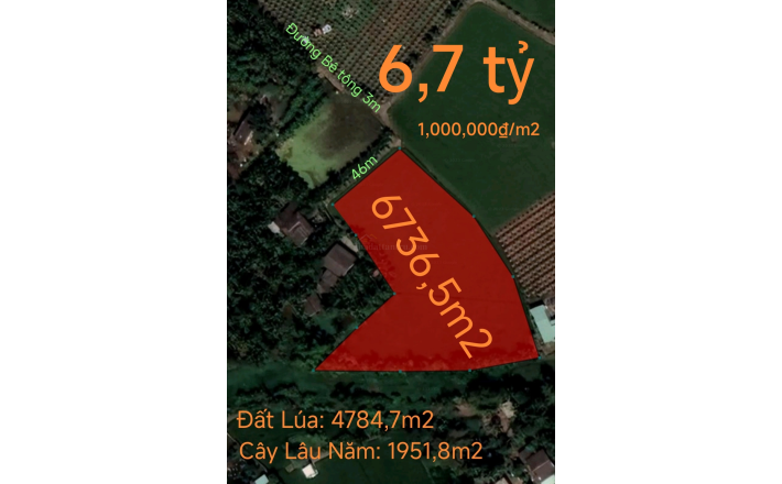 Bán lô đất lúa chuyển thổ giá 1 tỷ.công