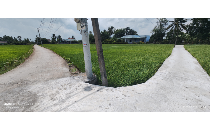 Bán lô lúa không dính quy hoạch hạ giá còn 650 triệu