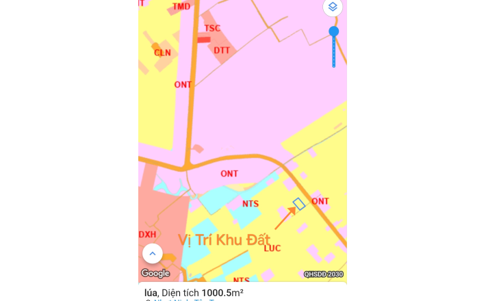 Bán gấp lô lúa xã Nhựt Ninh giá 550 triệu