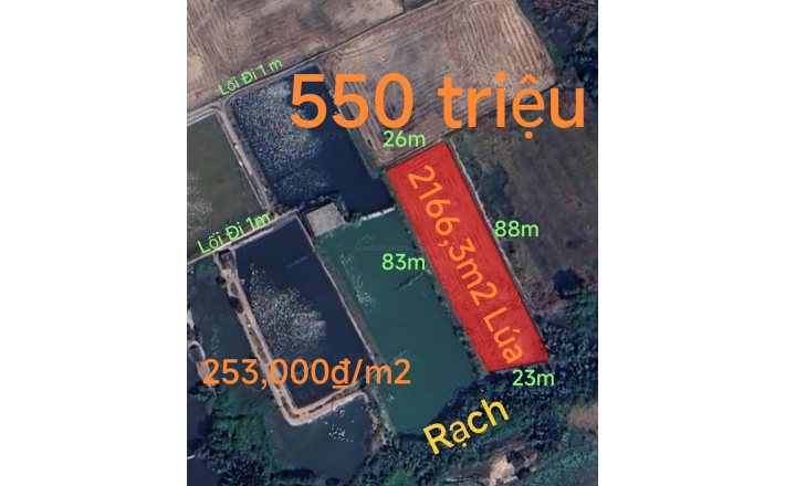 Bán gấp lô đất lúa gần Quốc Lộ 50B hạ giá 550 triệu