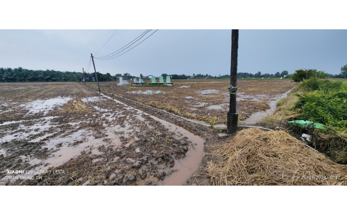 Bán lô đất lúa mặt tiền đường kênh  giá 3,04 tỷ  