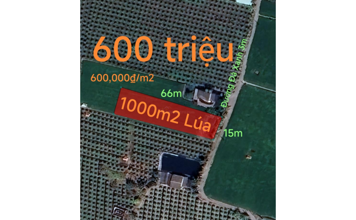 Bán lô đất lúa gần quốc lộ 50 B giá 600 triệu