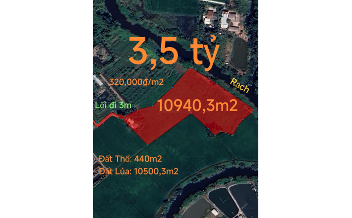 Bán lỗ lô đất thổ lúa không dính quy hoạch giá 3,5 tỷ