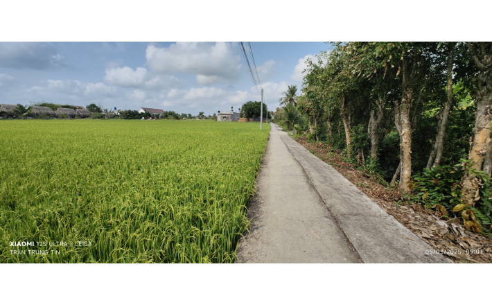 Bán gấp lô đất lúa vị trí trung tâm giá 1,1 tỷ