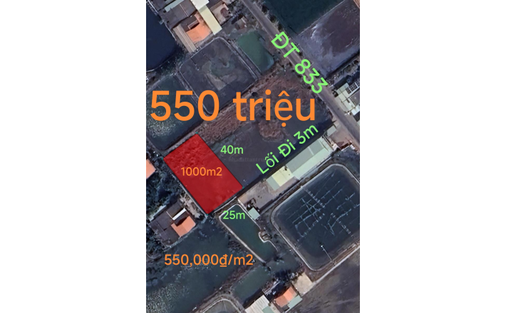 Bán gấp lô lúa xã Nhựt Ninh giá 550 triệu