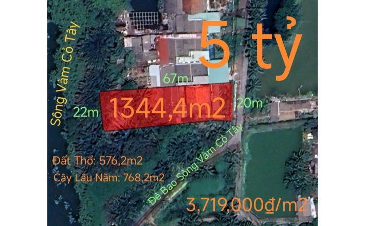 Bán lô đất thổ vườn mặt tiền đê bao hạ giá 5 tỷ