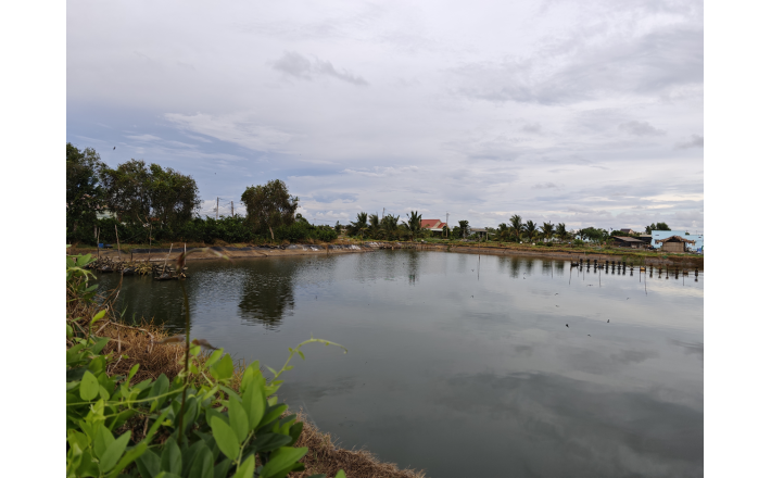Bán lô đất lúa chuyển thổ giá 2 tỷ
