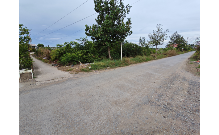 Bán lô đất lúa chuyển thổ giá 2 tỷ