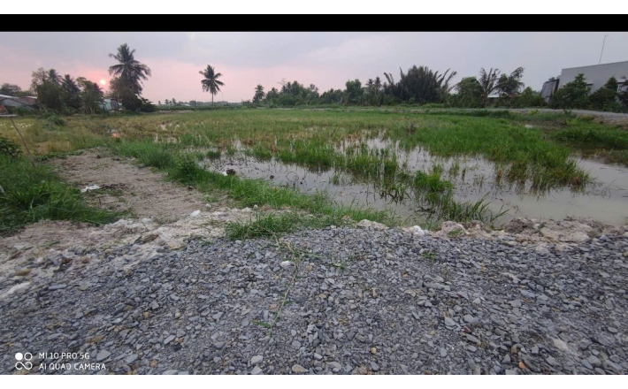 Bán lô đất cây trồng hàng năm giá 1,3 tỷ  