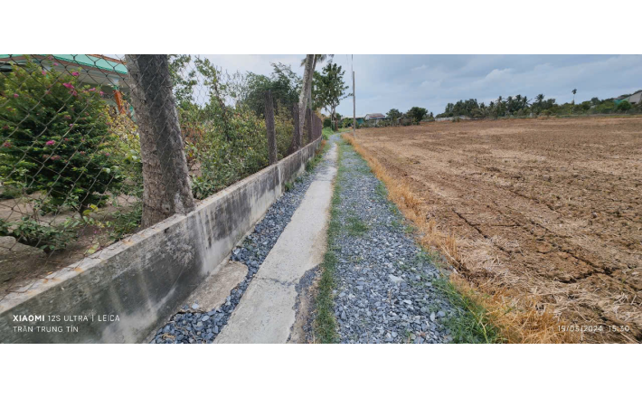 Bán gấp lô đất lúa hai mặt tiền xã Đức Tân giá 800 triệu 